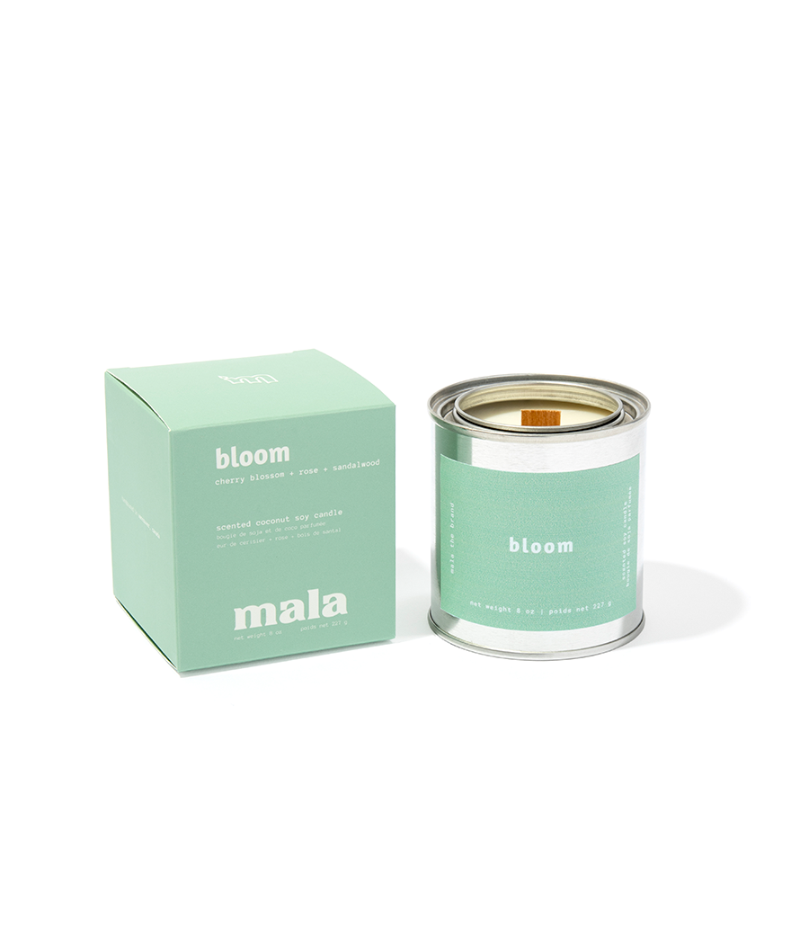 Bloom | Cherry Blossom + Rose + Sandalwood (Pack of 4)