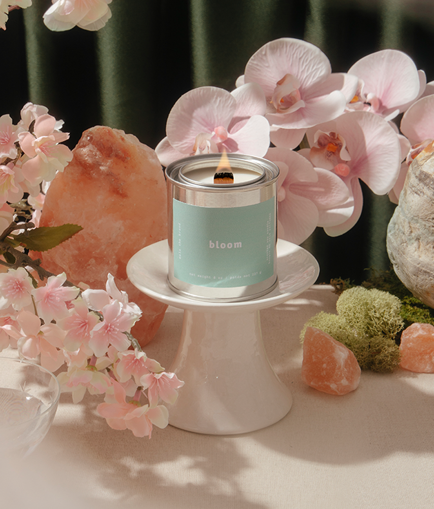 Bloom | Cherry Blossom + Rose + Sandalwood (Pack of 4)