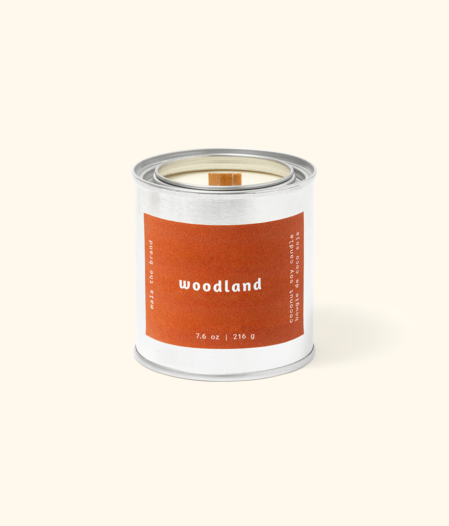Woodland | Leather + Saffron + Pine (Pack of 4)